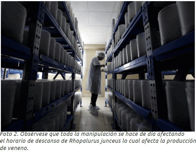 ¿Cómo explotar las poblaciones de escorpiones de forma sostenible? 4 - LifEscozul&reg;