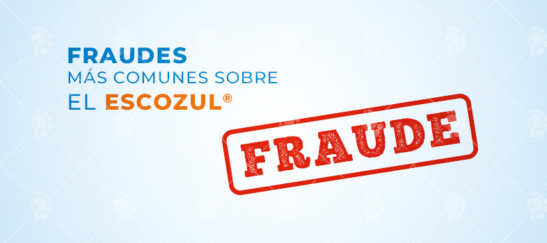 Escozul&reg;: Fraudes más comunes - LifEscozul&reg;