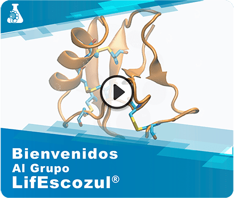 ¿Qué es el Grupo LifEscozul&reg;?