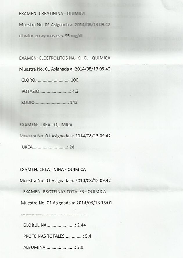 LifEscozul&reg; - Vicente 7 - Cáncer Gástrico Intestinal