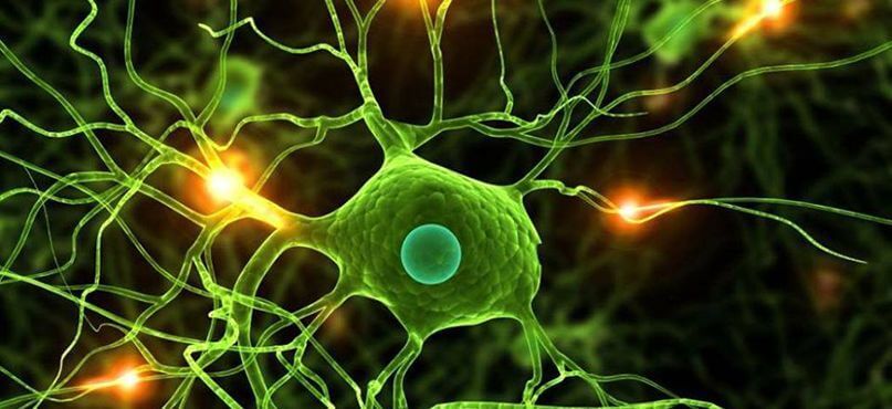 LifEscozul&reg; - Resultados Cáncer Cerebral