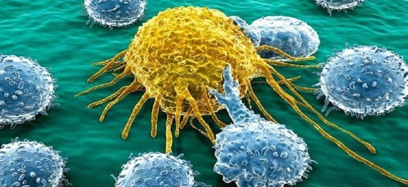 LifEscozul&reg; - Cáncer de Próstata